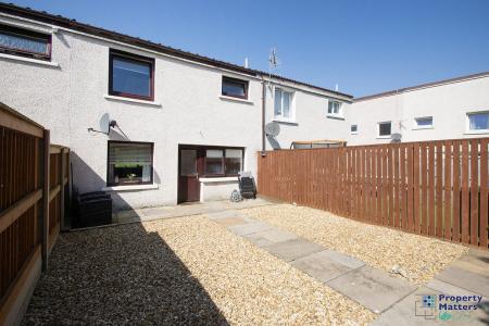 Back garden