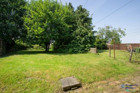 Back garden