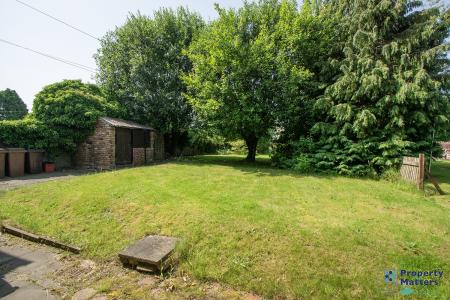 Back garden