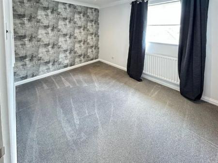 3591-8.jpg