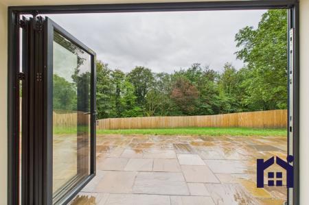 Peeping out sadly on a wet one