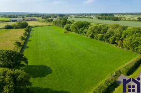 Equestrian opportunity