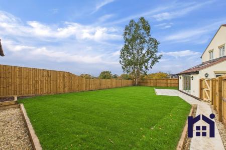 Back Garden