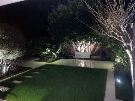 Garden at night
