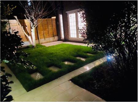 Garden at night