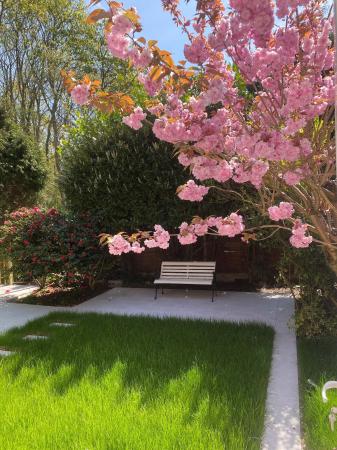 Garden in springtime
