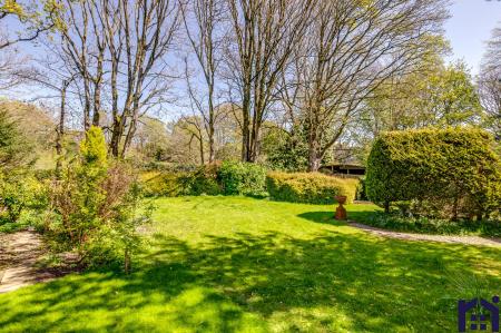 Middle garden
