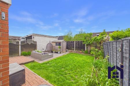 Back Garden