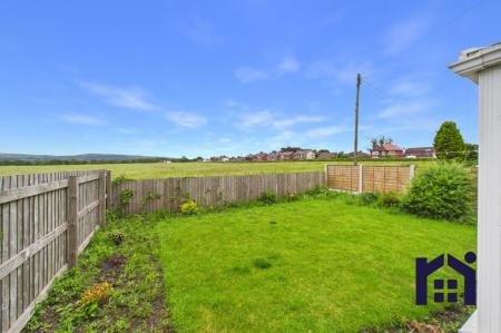 Back garden