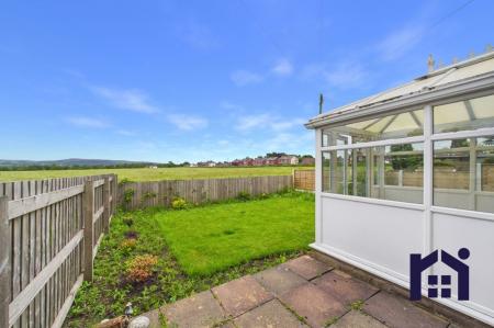 Back garden