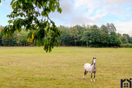 Meet the neighbours