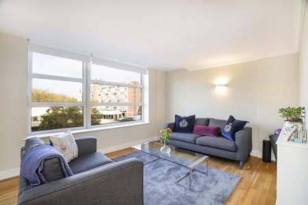 Consort Rise rec_lge