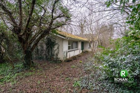 23 Lisdivin Road, Bready, BT82 0BX (18 of 18)