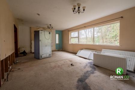 23 Lisdivin Road, Bready, BT82 0BX (3 of 18)