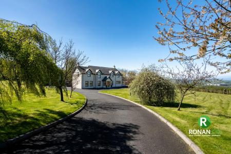 17 Carrigullin Road, Victoria Bridge, BT82 8NZ (3 of 67)