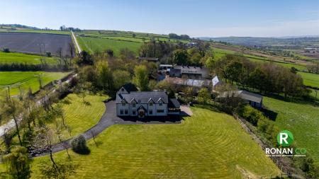 17 Carrigullin Road, Victoria Bridge, BT82 8NZ (17 of 67)