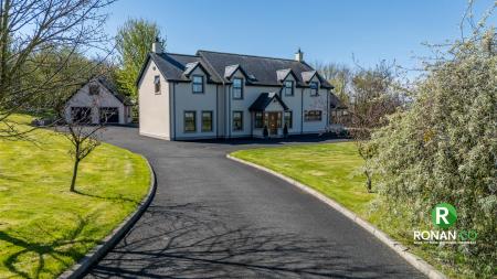 17 Carrigullin Road, Victoria Bridge, BT82 8NZ (8 of 67)