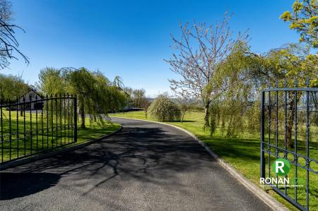17 Carrigullin Road, Victoria Bridge, BT82 8NZ (2 of 67)