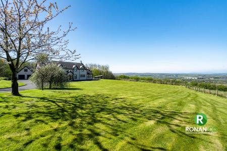 17 Carrigullin Road, Victoria Bridge, BT82 8NZ (9 of 67)