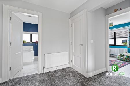 6 Tamnabryan Manor, Bready, BT82 0NX-30