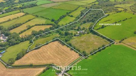 Image 02-07-2025 at 16.45.jpeg