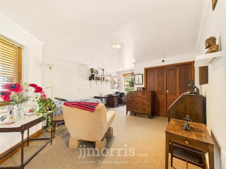 Living Room/Bedroom