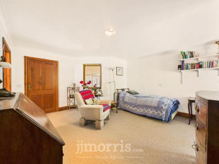 Living Room/Bedroom