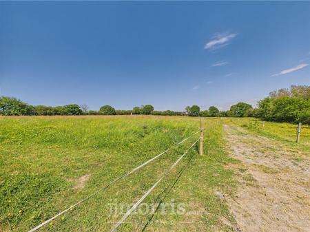 CAM05297G0-PR0050-STILL047.jpg