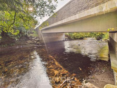 CAM05297G0-PR0108-STILL003.jpg