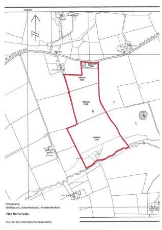 Plan Not to Scale.jpg