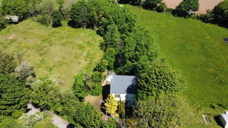 dji_fly_20250515_114520_261_1747307858824_photo_op