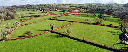 CKCAE1938 - Copy.JPG