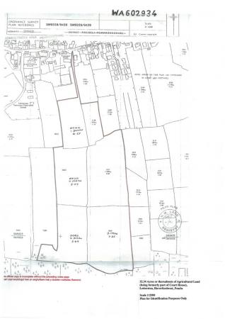 32.34 Acres Plan .jpg