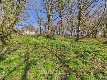 CAM02122G0-PR0270-STILL016.jpg