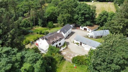 dji_fly_20250623_144130_412_1750686218332_photo_optimized.JPG