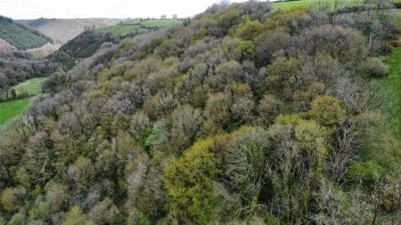 dji_fly_20230502_123620_623_1683124640707_photo_op