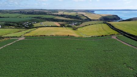 dji_fly_20250709_154424_342_1752073105267_photo_op