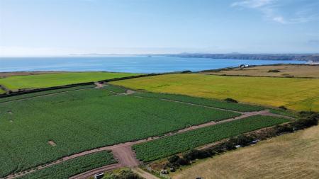 dji_fly_20250709_154154_331_1752073120699_photo_op