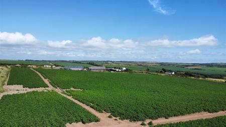 dji_fly_20250709_160558_360_1752073636222_photo_op