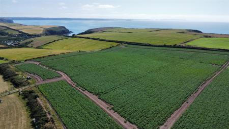 dji_fly_20250709_154356_340_1752073108153_photo_op