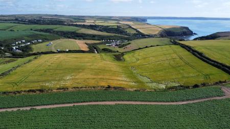 dji_fly_20250709_154434_343_1752073103734_photo_op