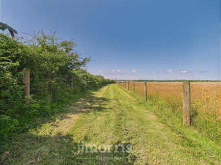 Externally & The Land