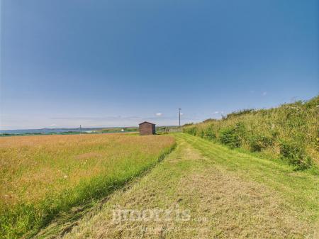 Externally & The Land