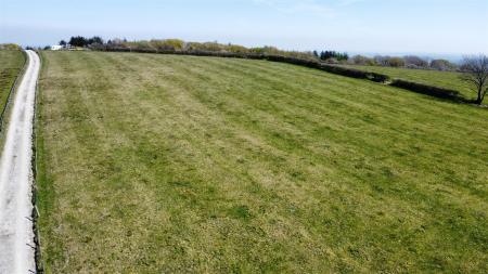 dji_fly_20250411_132124_156_1744374132950_photo_op