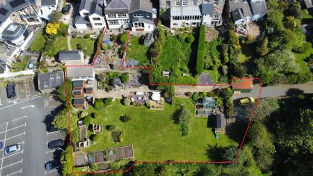 nun street paint.png