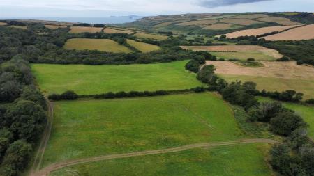 dji_fly_20250716_105514_446_1752659899252_photo_op