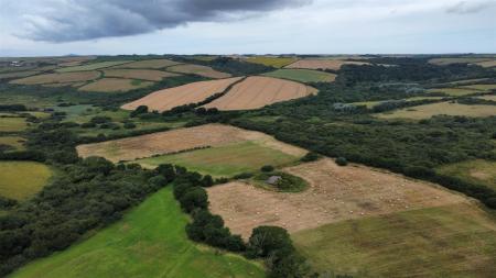 dji_fly_20250716_105712_455_1752659931330_photo_op