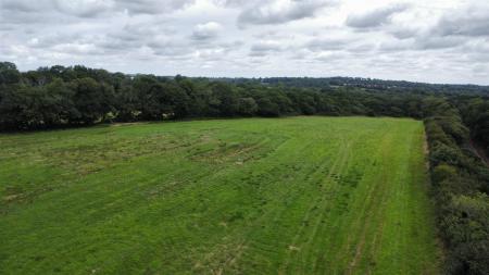 dji_fly_20250716_120810_465_1752664097338_photo_op