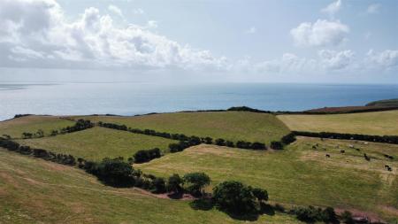 dji_fly_20250714_114042_402_1752489757888_photo_op