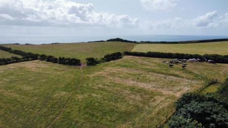 dji_fly_20250714_114318_413_1752489845380_photo_op